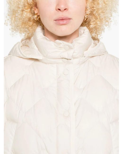 Cappotto Trapuntato Con Cappuccio di Woolrich in White