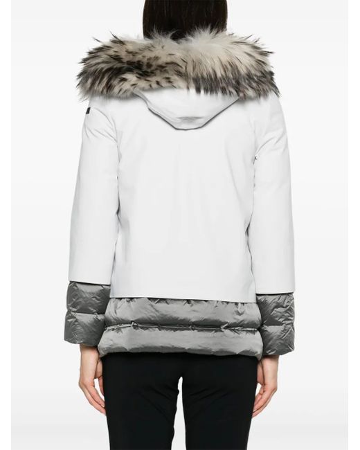 Rrd Gelaagd Jack in het Gray