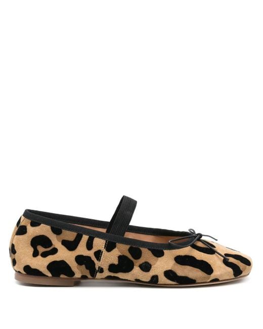 Anniel Brown Leopard-Print Ballet Flats