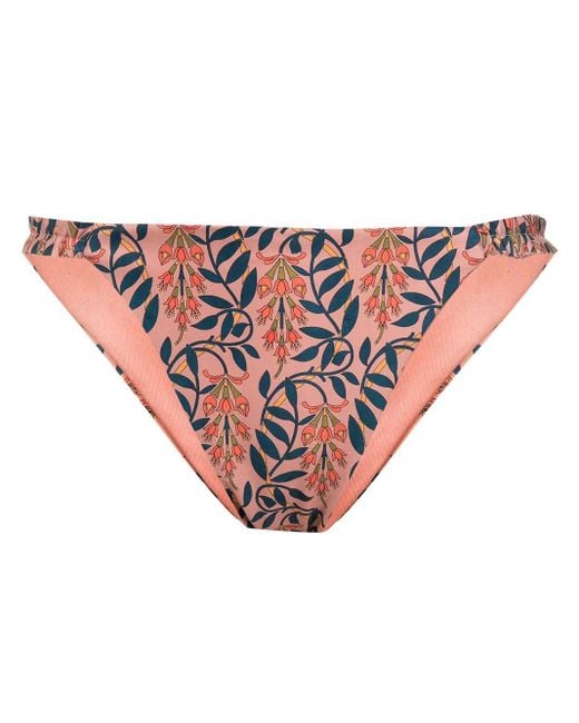 Agua Bendita Pink Floral-Print Bikini Bottoms