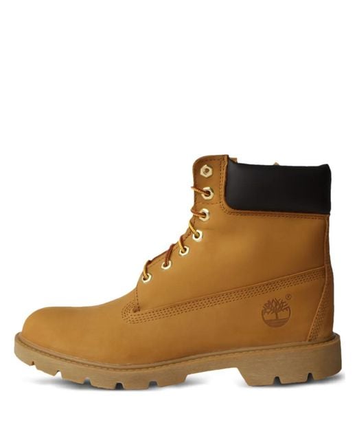 Timberland Brown Premium 6-Inch Waterproof Boots for men