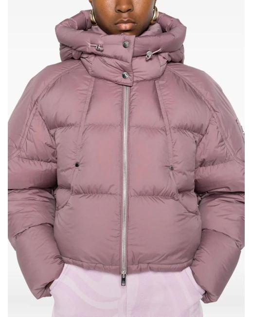 Moose Knuckles Pink Hooded Zip-Up Padded Jacket