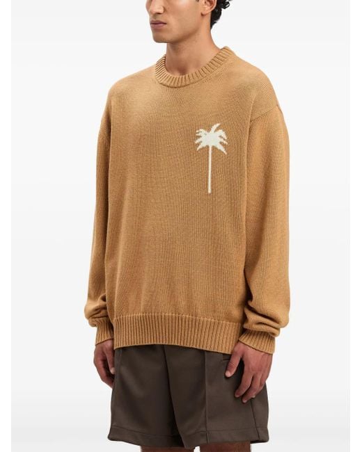 Palm Angels Gebreide Trui Met Palmbomen in het Brown voor heren