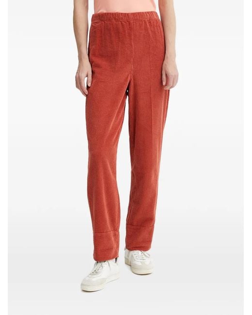American Vintage Ribfluwelen Broek Met Elastische Tailleband in het Red