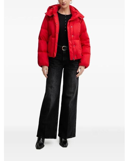 Levi's Red Hooded Puffer Jacket