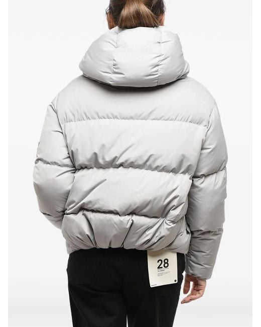 Bacon Gray Cloud Quilted Jacket