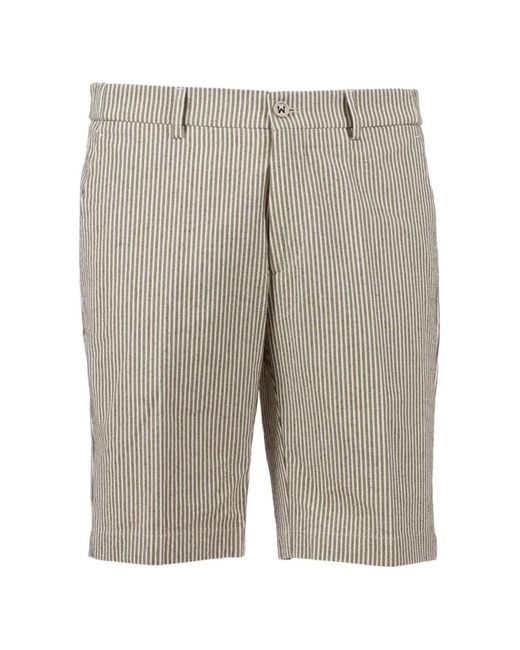 Berwich Gray Striped Straight-Leg Bermuda Shorts for men