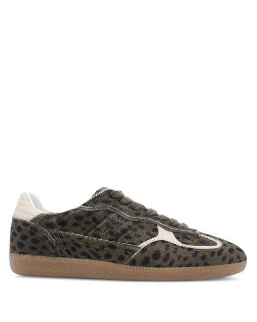 Alohas Brown Tb.490 Leopard-Print Low-Top Sneakers