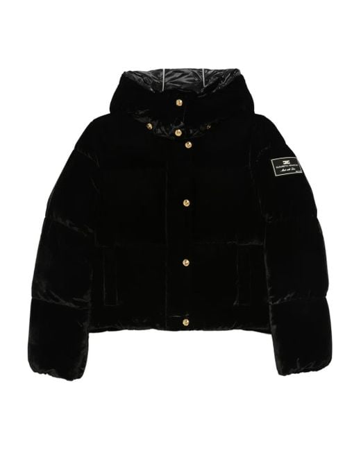 Hooded puffer jacket Elisabetta Franchi de color Black