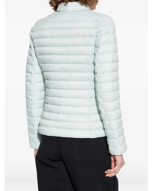 Giacca Trapuntata Con Zip di Save The Duck in Blue