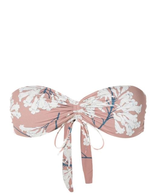 Clube Bossa Pink Percy Floral-print Bikini Top