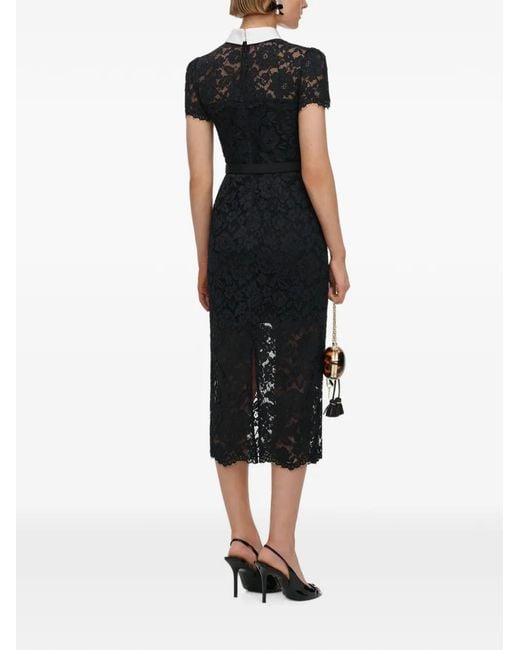 Self-Portrait Black Lace Contrast Collar Midi Dress