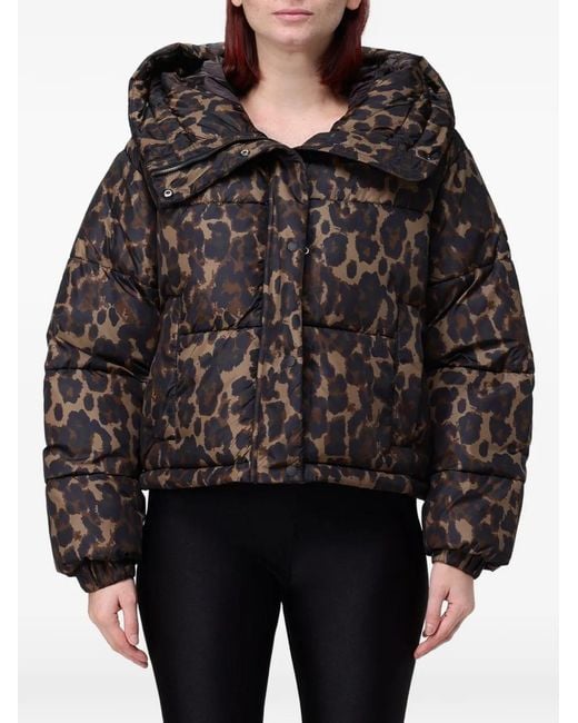 Save The Duck Black Leopard-Print Puffer Jacket