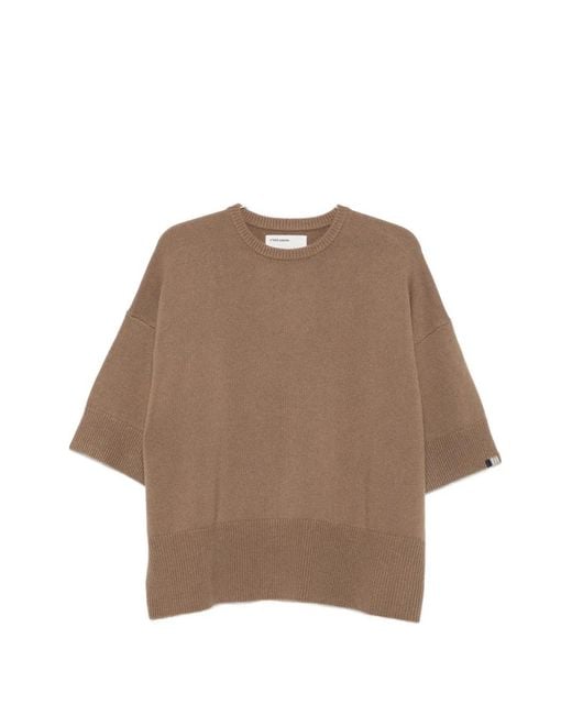 Extreme Cashmere Brown Sassie Cashmere V-Neck Sweater
