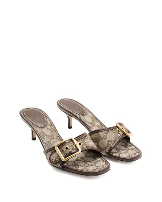 COACH Brown 55Mm Margot Buckle Heeled Sandals