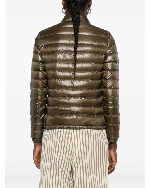 Herno Brown Nylon Short Down Jacket