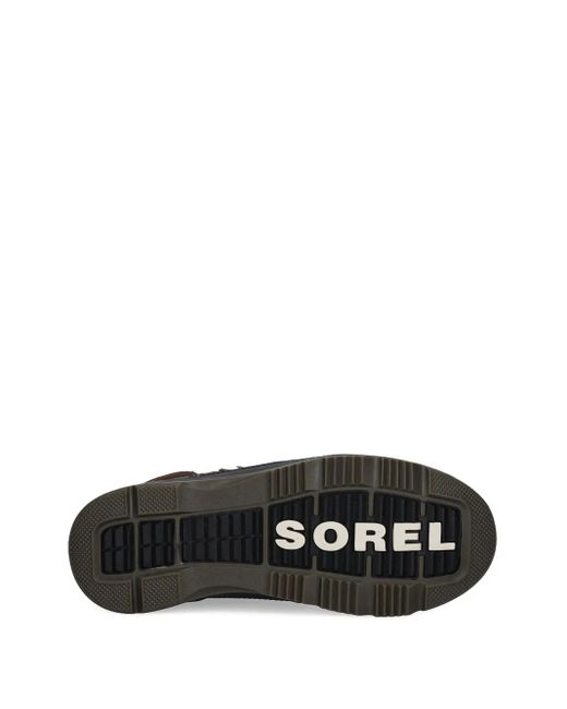 メンズ Sorel Ankeny Ii Hiker Plus ブーツ Brown
