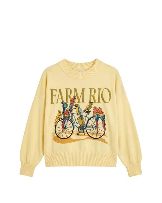 Farm Rio Metallic Bicycle Graphic Sweater