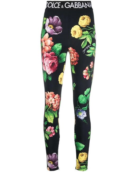 Dolce & Gabbana Green Floral-Print Leggings