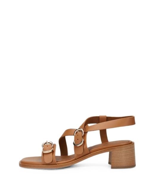 Frau Brown Multi-Strap Leather Sandals