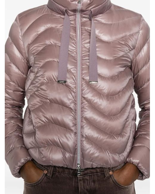 Chaqueta Acolchada Con Cremallera Herno de color Pink