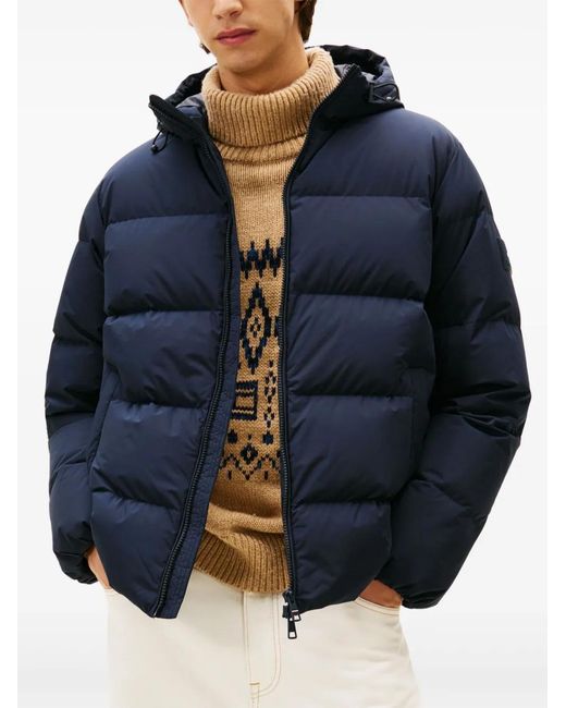 Tommy Hilfiger Blue Hooded Padded Jacket for men