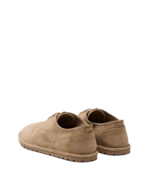 Marsèll Brown Sancrispa Derby Shoes for men