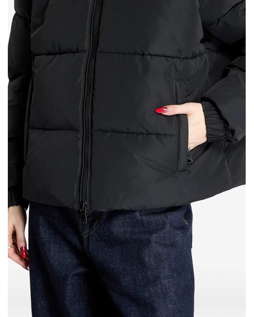 EA7 Black Padded Hooded Jacket