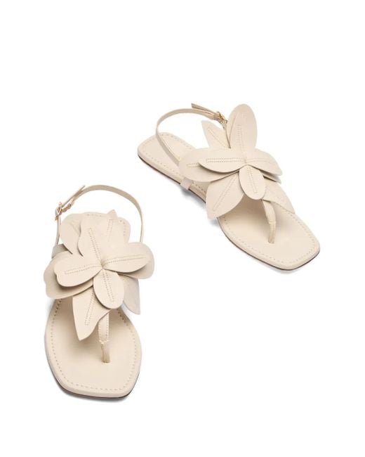 Stuart Weitzman Natural Paradise Sandals