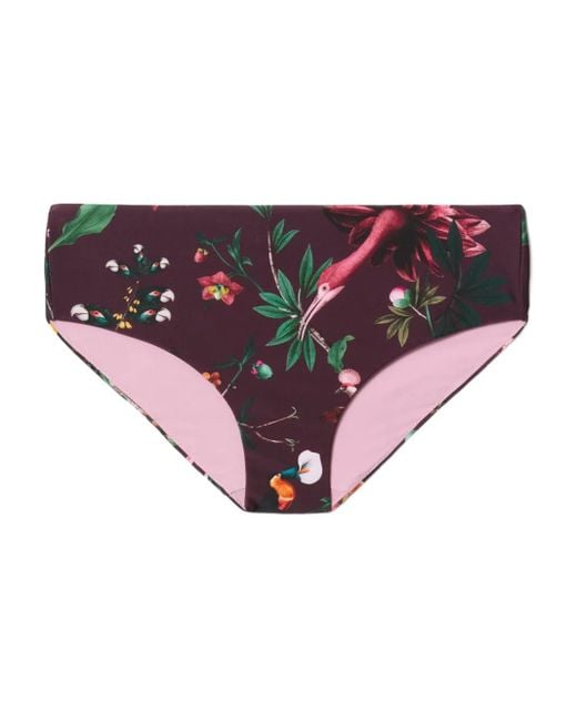 LaDoubleJ Pink Boy Floral-Print Bikini Briefs