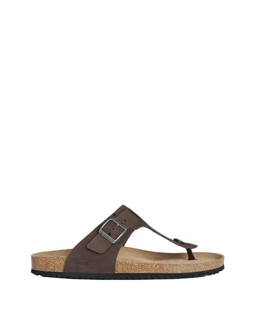 Geox Brown Buckle-Fastening Thong Sandals for men