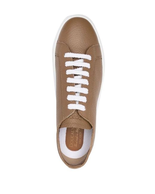 Doucal's Brown Low-Top Leather Sneakers for men