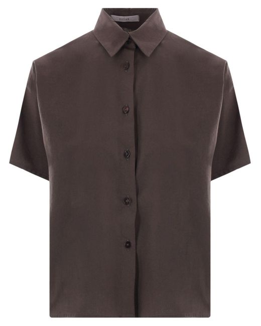 Dusan Brown Classic-collar Cotton Shirt