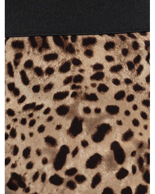 Dolce & Gabbana Black Leopard-Print Shorts