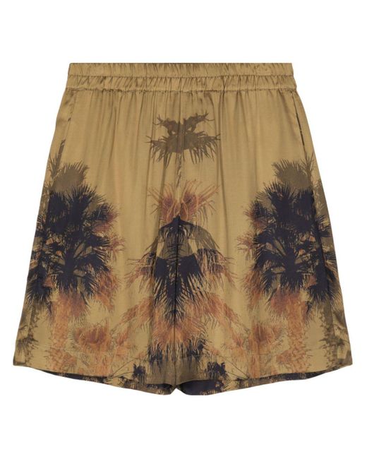 Laneus Natural Palm Tree-print Bermuda Shorts for men