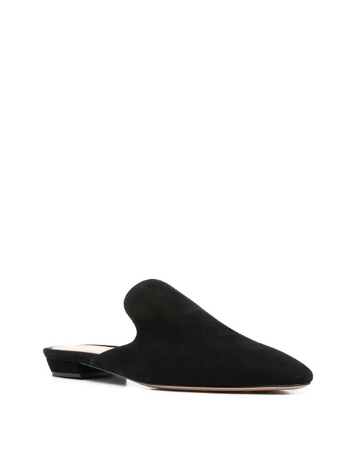 Gianvito Rossi Black Nubuck Mules