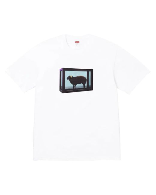 メンズ Supreme X Damien Hirst プリント Tシャツ White