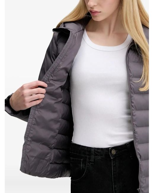 Adidas Gray Originals Hooded Jacket