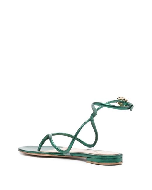Gianvito Rossi Green Mamba Flat Sandals
