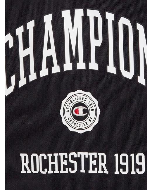 Champion Gray Block Hooded Sweatshirt for men