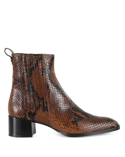 Roberto Festa Brown Leda Ankle Boots