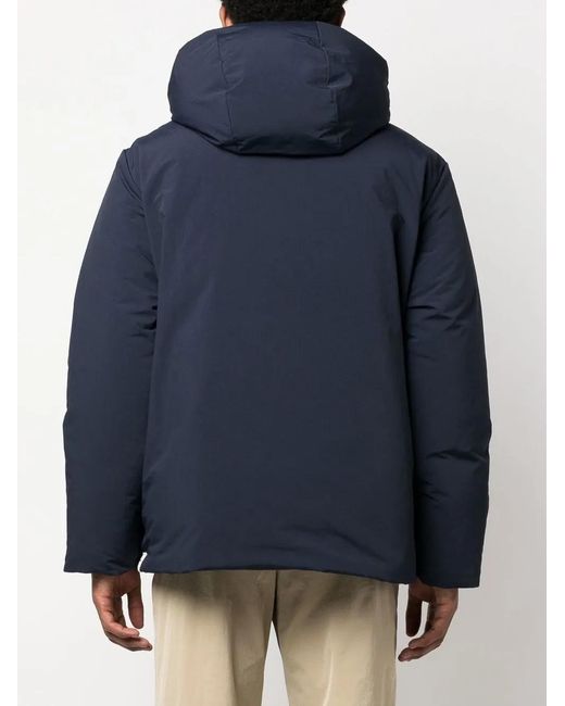 Jil Sander Blue Hooded Padded Jacket for men