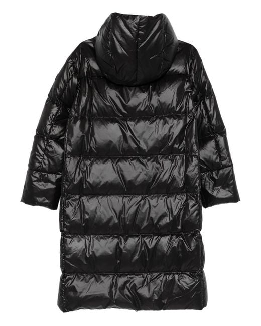 Peuterey Black Coats
