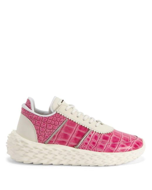 Giuseppe Zanotti Pink Urchin Crocodile-embossed Sneakers