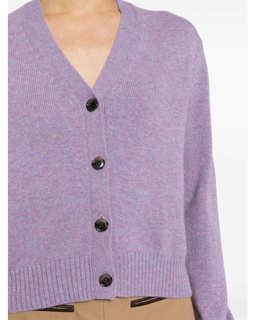 Lisa Yang Vest Met V-hals in het Purple