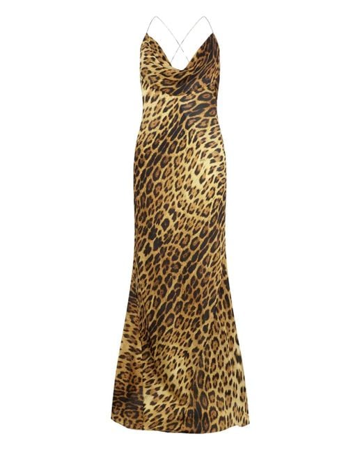 Roberto Cavalli Maxi-Jurk Met Luipaardprint En Col in het Metallic