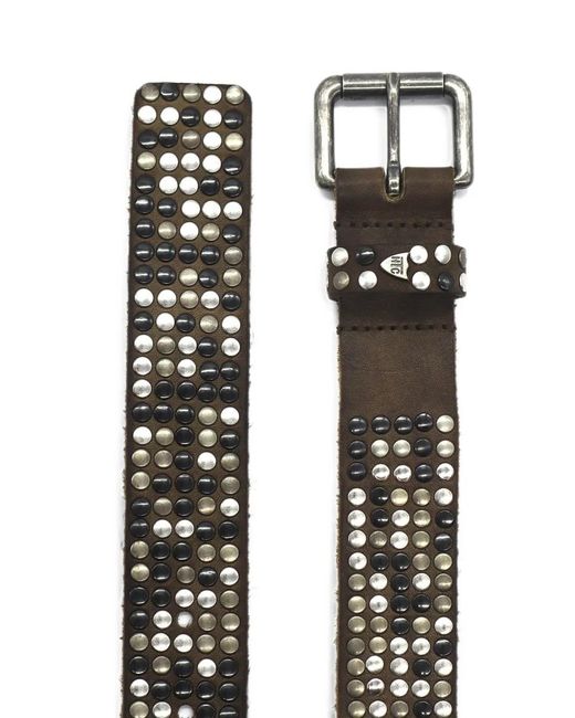 HTC Brown 5.000 Studs Leather Belt for men