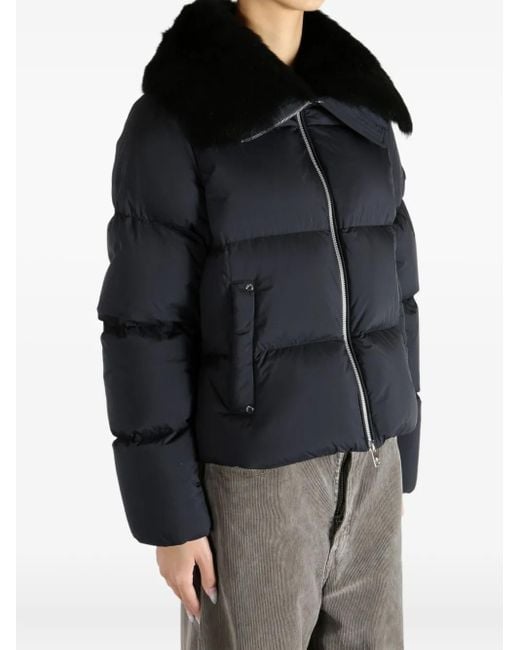 Moose Knuckles Black Fur Collar Jacket