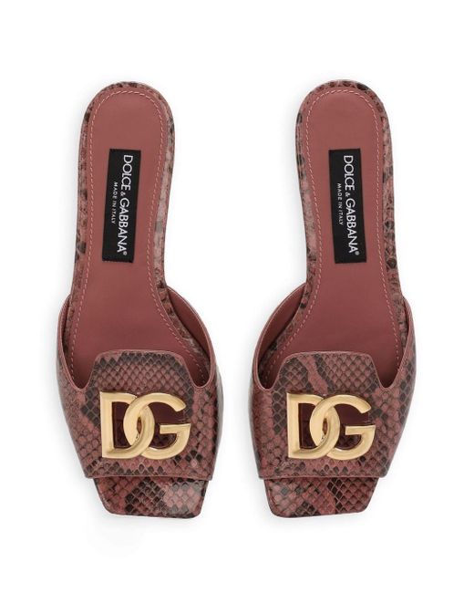 Dolce & Gabbana Leren Slippers Met Logoplakkaat in het Brown