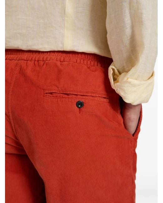 Slowear Red Drawstring Velvet Regular Fit Shorts for men